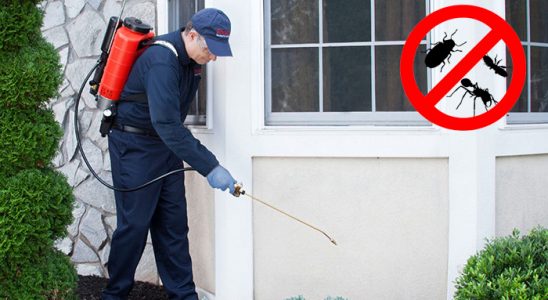 Narman Böcek İlaçlama böcek ilaçlama ve haşere kontrolü — ilaclama-tr.com